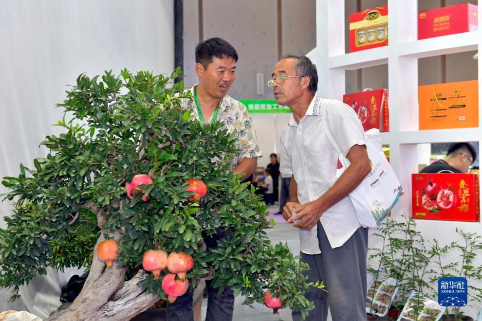 线上美高梅官方