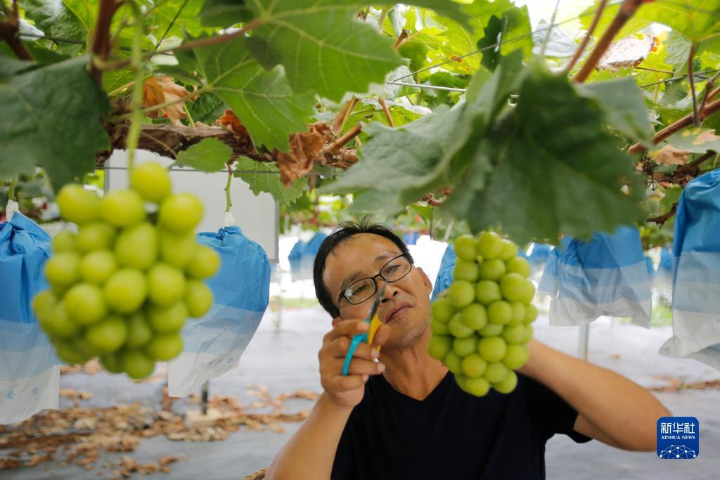 申慱菲律宾下载